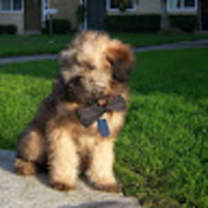 Meet your Posher, Mitchell